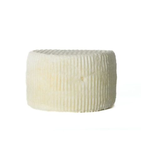 Cacio Ricotta