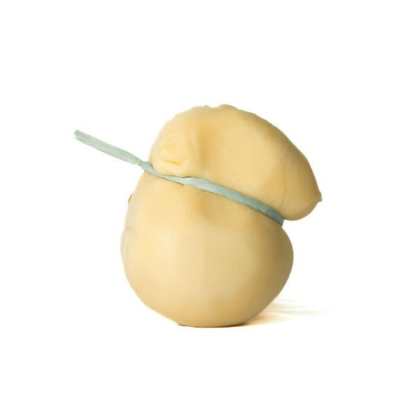 Scamorza