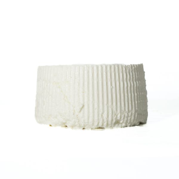 Ricotta